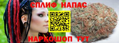 мяу мяу мука Лесосибирск