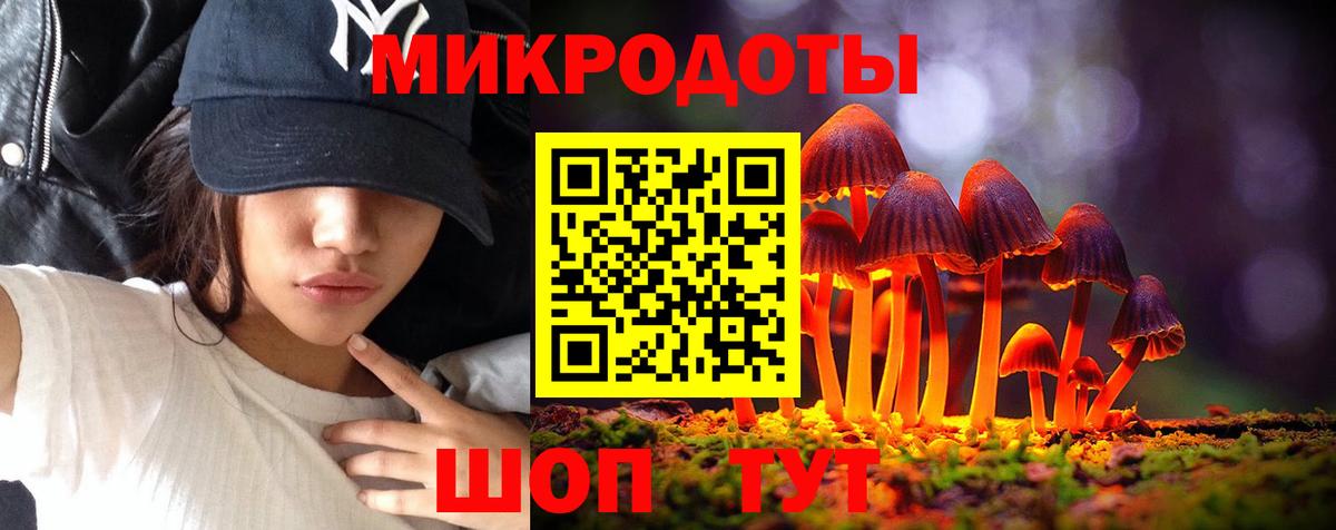 Псилоцибиновые грибы мухоморы Каменск-Уральский